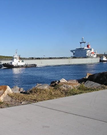 Ship management service vessel